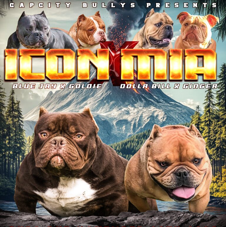 🔥 Icon × Mia Breeding – Due November 10th, 2025 🔥