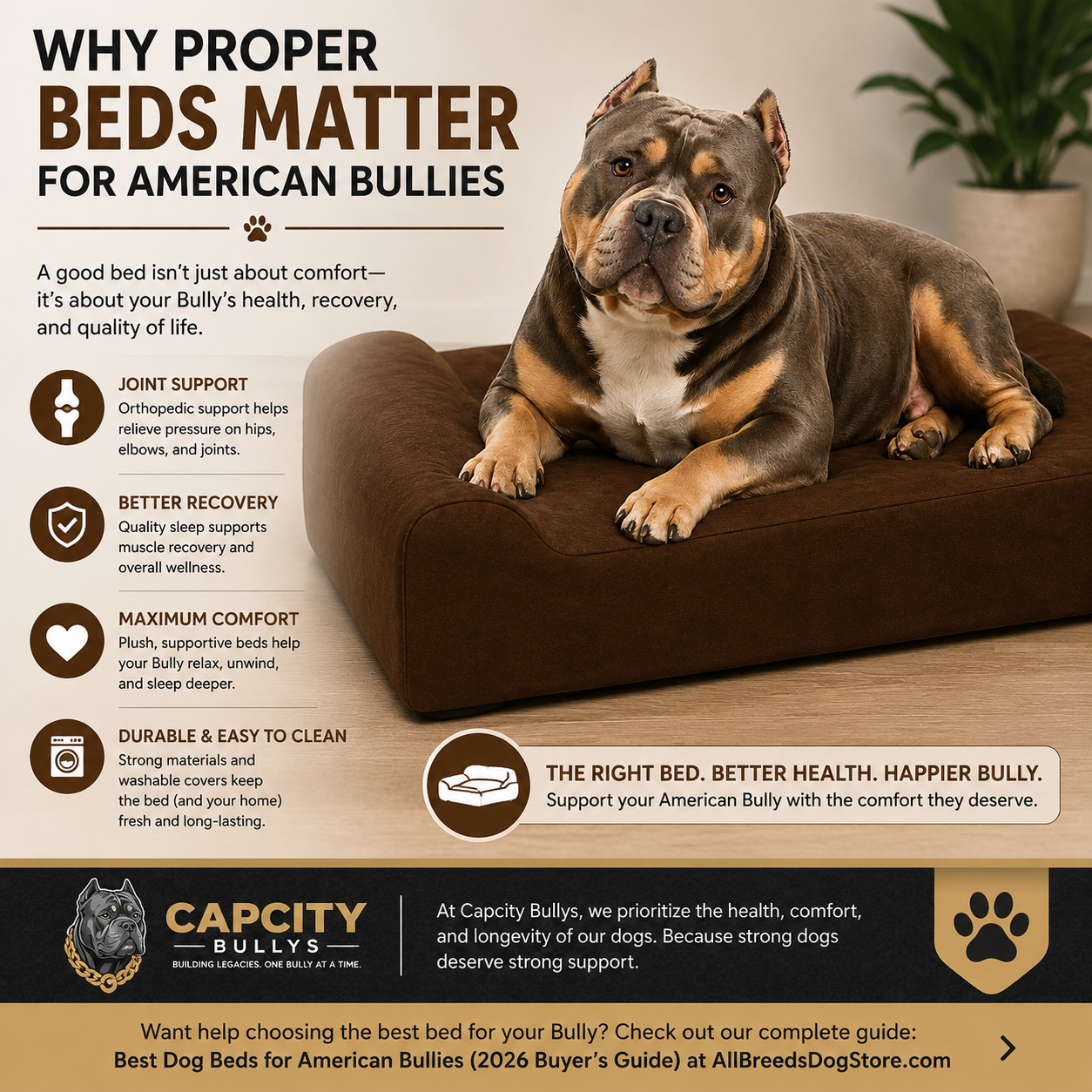 American Bully resting on an orthopedic dog bed for joint support and comfort featured in a dog bed buyer’s guide