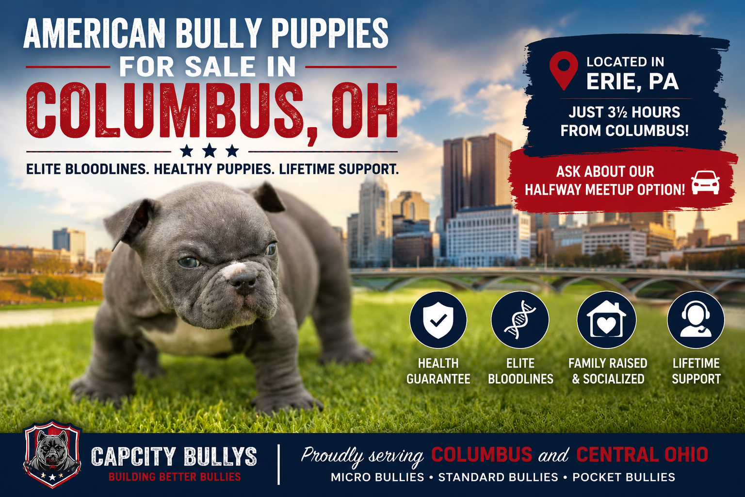 American Bully puppy preparing to go home with a family from Columbus, Ohio after being raised by Capcity Bullys.